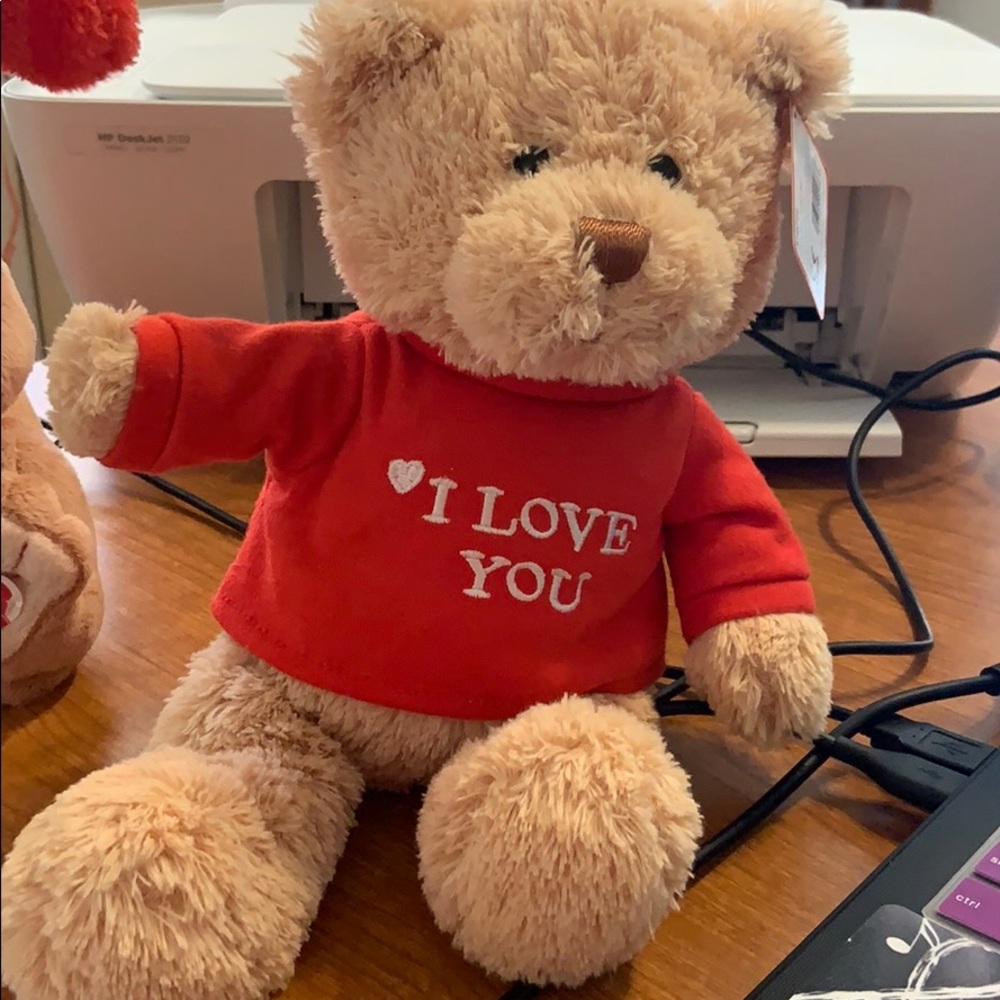 Teddy Bear